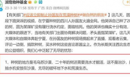 事件进展,揭秘背后真相与影响