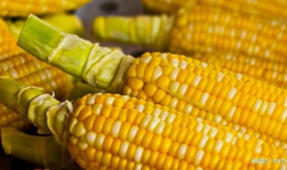 玉米视频,探索农业科技新篇章